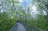 baumkronenpfad_05_2017_102