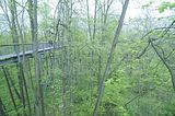 baumkronenpfad_05_2017_104