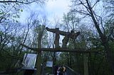 baumkronenpfad_05_2017_106