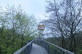 baumkronenpfad_05_2017_115