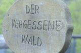 baumkronenpfad_05_2017_118