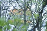 baumkronenpfad_05_2017_130