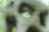 baumkronenpfad_05_2017_138