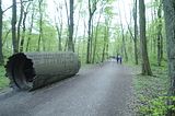 baumkronenpfad_05_2017_140