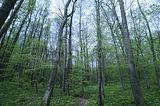 baumkronenpfad_05_2017_142