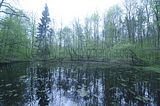 baumkronenpfad_05_2017_146