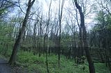 baumkronenpfad_05_2017_148