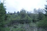 baumkronenpfad_05_2017_152