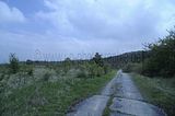 baumkronenpfad_05_2017_153