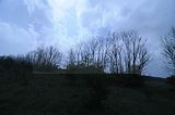 baumkronenpfad_05_2017_156