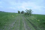 baumkronenpfad_05_2017_157