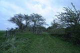baumkronenpfad_05_2017_158