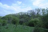 baumkronenpfad_05_2017_163