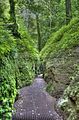 drachenschlucht-eisenach-sommer-02