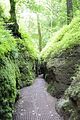 drachenschlucht-eisenach-sommer-03