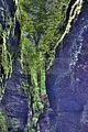drachenschlucht-eisenach-sommer-04
