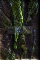 drachenschlucht-eisenach-sommer-06