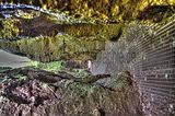 drachenschlucht-eisenach-sommer-08