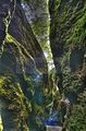 drachenschlucht-eisenach-sommer-10