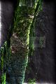 drachenschlucht-eisenach-sommer-14