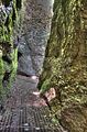 drachenschlucht-eisenach-sommer-16