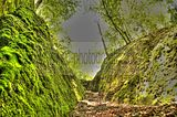 drachenschlucht-eisenach-sommer-18