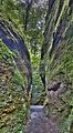 drachenschlucht-eisenach-sommer-19