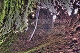 drachenschlucht-eisenach-sommer-21