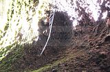 drachenschlucht-eisenach-sommer-22