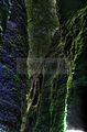 drachenschlucht-eisenach-sommer-25