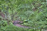 drachenschlucht-eisenach-sommer-37