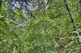 drachenschlucht-eisenach-sommer-38