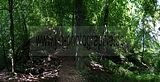 drachenschlucht-eisenach-sommer-39