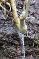 drachenschlucht-eisenach-winter-007