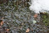 drachenschlucht-eisenach-winter-023