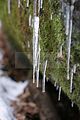 drachenschlucht-eisenach-winter-028