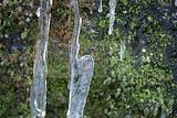 drachenschlucht-eisenach-winter-030