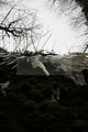 drachenschlucht-eisenach-winter-049