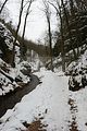 drachenschlucht-eisenach-winter-051