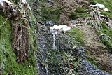 drachenschlucht-eisenach-winter-055