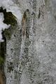 drachenschlucht-eisenach-winter-057