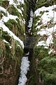drachenschlucht-eisenach-winter-059