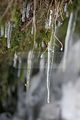 drachenschlucht-eisenach-winter-061