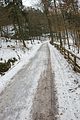 drachenschlucht-eisenach-winter-086