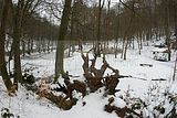 drachenschlucht-eisenach-winter-087