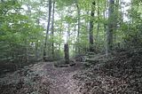 drei_tuerme_bad_berka_08_2016_011