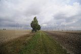 drei_tuerme_bad_berka_08_2016_044