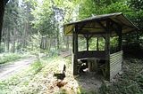 drei_tuerme_bad_berka_08_2016_100
