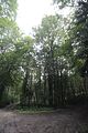 drei_tuerme_bad_berka_08_2016_102