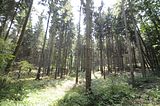 drei_tuerme_bad_berka_08_2016_106